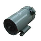 DC PM motor