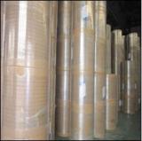 PE Coated Paper Roll